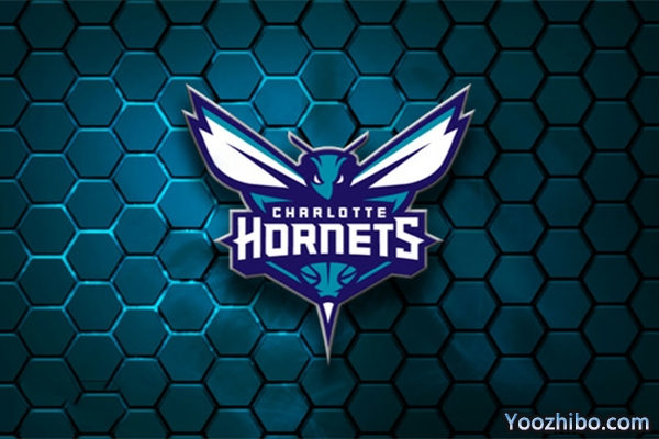 2019-2020赛季<a href=/lanqiu_zbo/hornets/ target=_blank class=infotextkey>黄蜂</a>队队徽